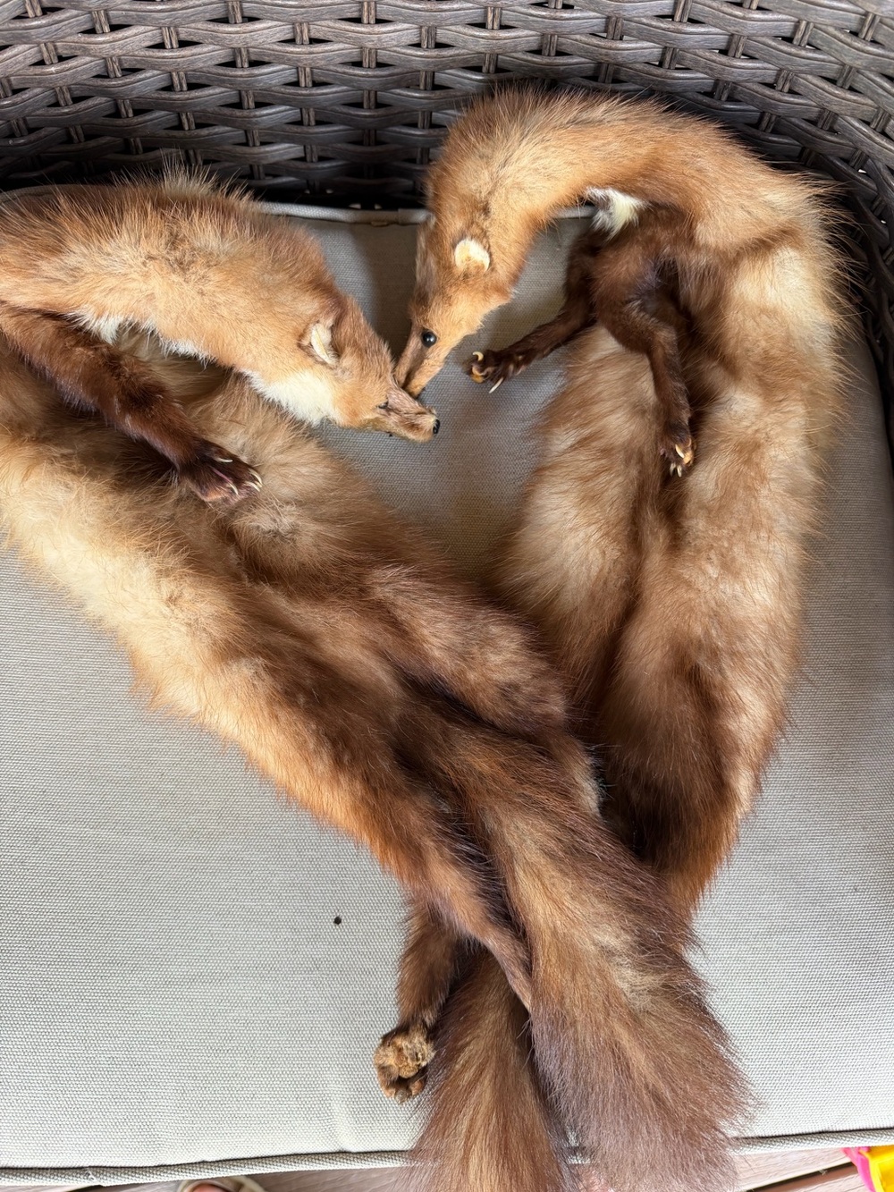 Vintage Full Body Mink Pelt Stole